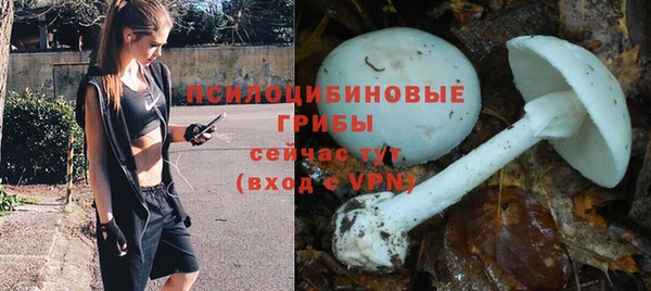 СК Арсеньев