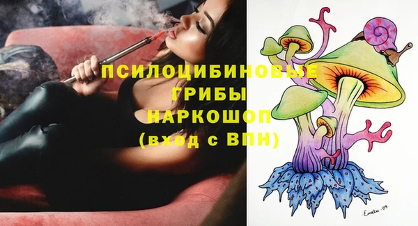 СК Арсеньев