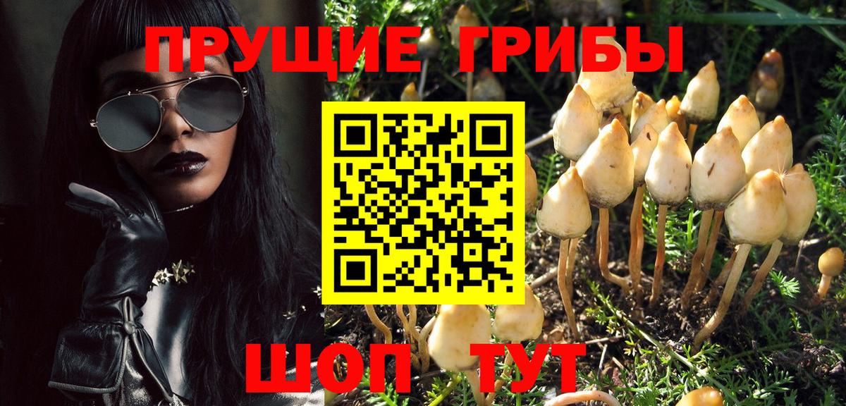 Саянск  Галлюциногенные грибы GOLDEN TEACHER  Галлюциногенные грибы ЛСД  Вход с VPN 
