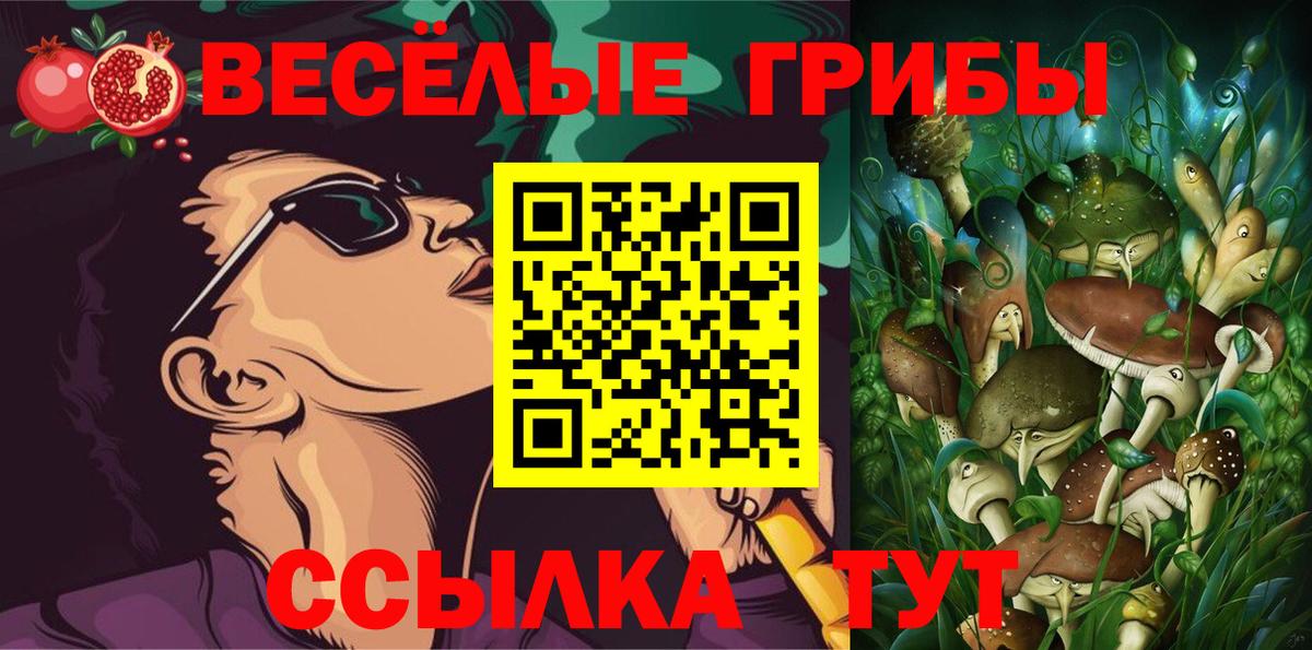 Галлюциногенные грибы мухоморы Саянск